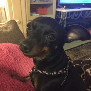 Meet your Posher, Cathy